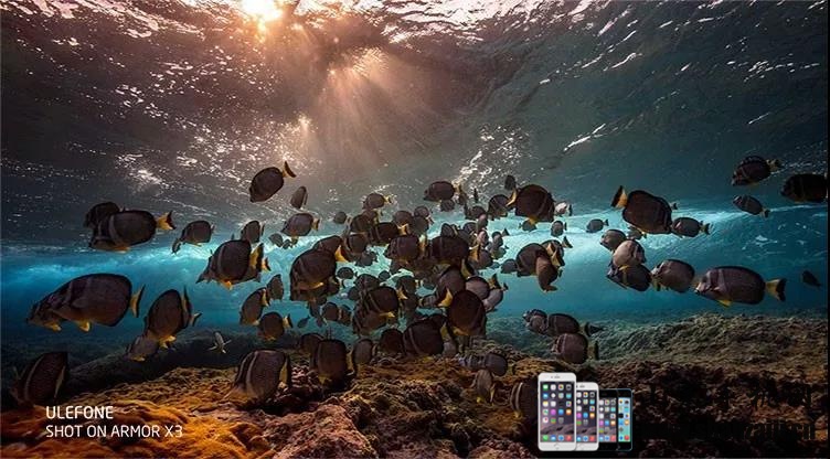 微信图片_20190822093703